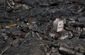 No parking sign engulfed by lava